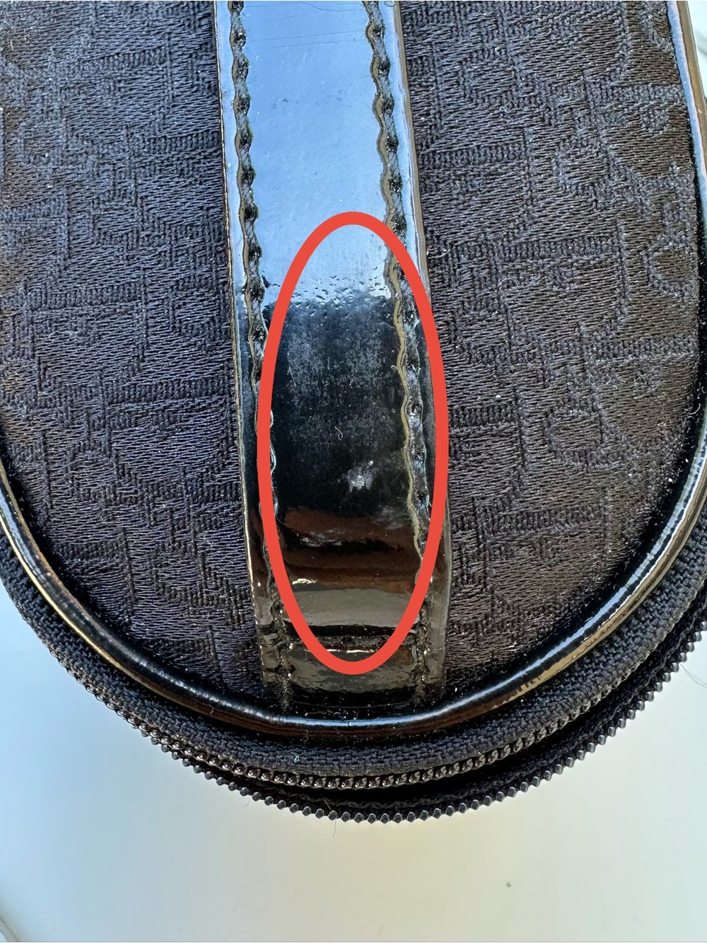 Dior Canvas Trotter Vanity Case RARE - Picture 15 of 15